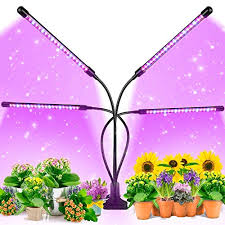 Grow lights can even be used for the production of food on a commercial but the question is; Best Plant Growing Lamps Buying Guide Gistgear
