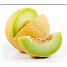 Melon (curcumis melo l) awalnya dari dataran persia yang menyebar ke beberapa wilayah seperti timur tengah, eropa, amerika, asia, hingga sampailah di indonesia. Scramble Fruit Vegetables Baamboozle