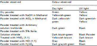 Image result for Anisotes sessiliflorus