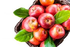An rd shares everything you need to know. 6 Major Health Benefits Of Apple Cider Vinegar Cbaextract