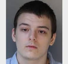 Central Pa. killer who hacked disabled brothers to death loses bid to void  double-life prison sentence