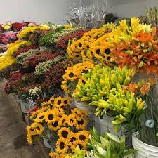 Maybe you would like to learn more about one of these? Halls Birmingham Wholesale Florist Home Facebook