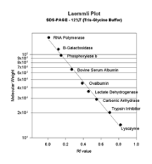 Metode lowry merupakan pengembangan dari metode biuret. Http Www Ipfdd De Fileadmin User Upload Mbz Documents Biochemie Praktikum Pdf