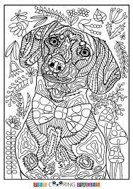 Pin By Vero On My Saves In 2021 Dog Coloring Book Dog Coloring Page Animal Coloring Pages