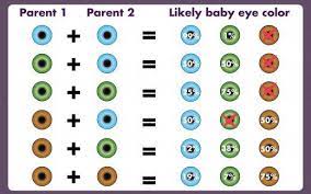 Pin On Eyes