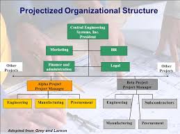 Lecture 2 Project Organizational Structure And Culture Ppt