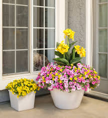 It is particularly useful as this is best done in the morning while the flower is not actively in bloom. 16 Full Sun Annuals For Patios And Window Boxes Proven Winners
