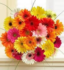 Pin On Flower Reference Inspiration