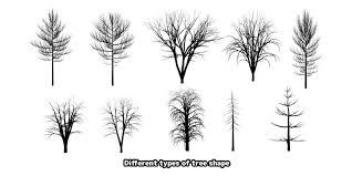 What should i put on my tree after cutting it down? Tree Trunk Tutorial