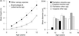 Image result for Brachystegia manga