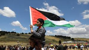 Pals, pallywood, and all other offensive slang describing palestinians, arabs or. Uae Committed To Two State Solution In Palestine Says Uae Minister Arab News