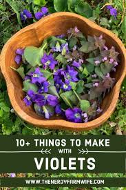 I love african violets but they are not easy to find in my area. 10 Things To Make With Violets