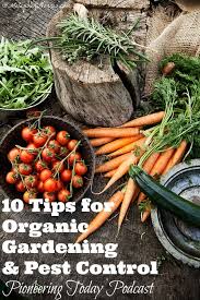 Podcast 10 Tips For Organic Gardening And Pest Control Organic Gardening Pest Control Organic Gardening Tips Garden Pest Control