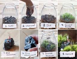 12 Superbes Diy Pour Realiser Soi Meme Son Terrarium Terrarium De Plantes Grasses Jardin Dans Une Bouteille Plantes Terrarium