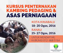 Untuk peternakan kambing yang memang berfokus untuk memenuhi kebutuhan daging di pasaran, tentu dulur bisa melihat data dibawah ini salah satu peternak kambing atau mitra kami yang juga menerapkan sistem kandang peternakan kambing modern ini, lebih maksimal dalam melakukan. Kursus Penternakan Kambing Pedaging Asas Perniagaan Sabah Siaran Facebook