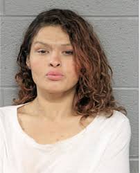 ᐅ Illinois Criminal Records 2009-2025