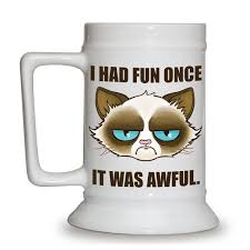 Grumpy Cat Beer Stein Grumpy Cat Cranky Cat Cat Items