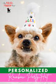 Personalized Dog Birthday Hats Dog Birthday Hat Dog Birthday Dog Party Hat