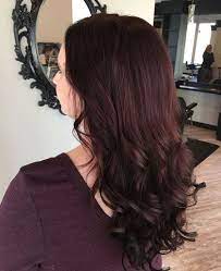 15 Best Burgundy Hair Color Shades Available In India Styles At Life Hair Color Mahogany Hair Color Burgundy Hair Color Pictures