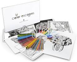 Whether your child requires a little math boost or is interested in learning more in regards to the solar system. Amazon Com Crayola Color Escapes Coloring Pages Pencil Kit Nature Edition Model 04 2296 Toys Games