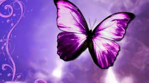 Free download the butterfly drawing flying colorful background pink wallpaper ,beaty your iphone. High Resolution Purple Butterfly Wallpaper Novocom Top