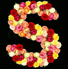 S, or s, is the 19th letter in the modern english alphabet and the iso basic latin alphabet. S Roses Flower Alphabet Isolated On Stock Image Colourbox