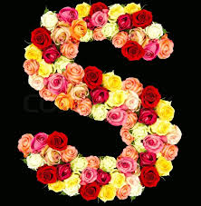 Flowers are the main ingredient for the preparation of perfumes and other scented products and the use of roses in the preparation of these products is due its natural aroma therefore perfumes, room. S Roses Flower Alphabet Isolated On Stock Image Colourbox