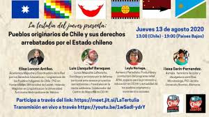 3) alexis caiguan ancapan, constituyente mapuche. Report Chile Woke Up