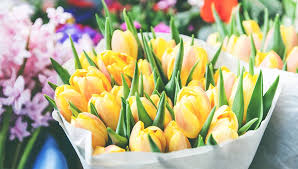 Daffodil (plural daffodils) a bulbous plant of the genus narcissus, with yellow flowers and a trumpet shaped corona, especially narcissus pseudonarcissus, the national flower of wales. Floral Garden Ken S Market Queen Anne