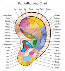 Hands Reflexology Chart Stock Images Royalty Free