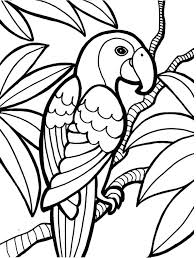 Here's a coloring page of a kapok tree. Rainforest Animals Drawings For Kids Novocom Top