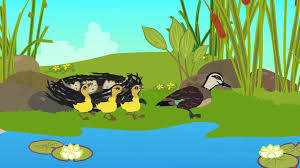 Duck Family By The Pond Youtube Find & download free graphic resources for pond. duck family by the pond