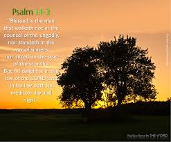 Image result for IMAGES OF PSALM 1