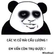 các vị cứ cẩu lương em vẫn trụ đc | Meme, Hài hước, Chuyện cười