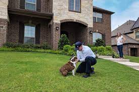 Louis, locals eat gooey butter cake and toasted raviolis, live and breathe for the cardinals and are known for their generosity. Joshua S Pest Control Videos