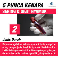 Virus adalah parasit berukuran mikroskopik yang menginfeksi sel organisme biologis. Xmozone Fast Acting Non Staining Odourless Aerosol Mosquito Repellent Facebook