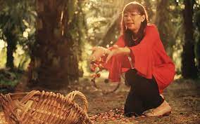 Kok said she viewed with much concern the comment by former finance minister tun dr daim zainuddin — an advocate of coconuts — of. 5 Years After Hot Cny Clip Kok Makes Palm Oil Her Lunar New Year Theme Free Malaysia Today Fmt