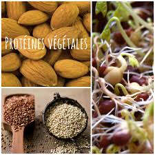 Dans Cet Article Je Vous Propose Une Liste Recapitulative Des Aliments Riches En Proteines Vegetales Proteines Vegetales Aliment Riche En Proteine Proteine