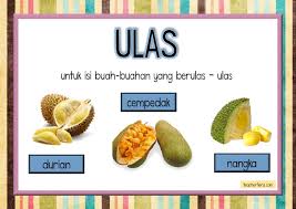 Penjodoh bilangan ialah kata yang digunakan untuk membilang unit benda, orang, haiwan, tempat dan sebagainya. Teacherfiera Com Penjodoh Bilangan