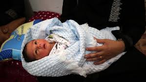 By 2020, gaza's population would surpass two million. Gaza Strip Population Said To Reach 2 Million The Times Of Israel