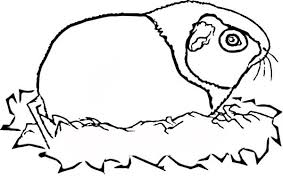 Can the net harness a bunch of volunteers to help bring books in the public domain to life through podcasting? Guinea Pig Coloring Pages Best Coloring Pages For Kids