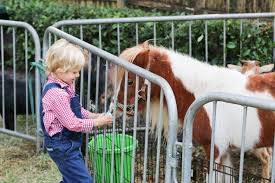 Only $50 deposit secures your date and. Pony Rides And Petting Zoo Tucks Down On The Farm Party Sarah Tucker