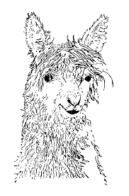 Maba Maba Dafi Alpacas Coloring Pages How can i color animations in firealpaca?