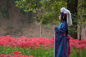 Check spelling or type a new query. The Red Spider Lilies Of Kinchakuda Contemporarynomad Com