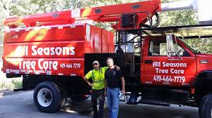 9715 w broward blvd # 339. All Seasons Tree Care 12486 County Road L Wauseon Oh 43567 Yp Com