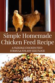 Homemade Chicken Feed Recipe • The Prairie Homestead