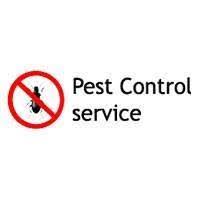 It is essential to make our homes a safe place to live in. Importance Of Pest Control In Housekeeping