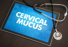 I was just wondering if yellow discharge along with cramps can be a sign of pregnancy. Can You Detect Early Pregnancy By Checking Cervical Mucus