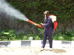 We did not find results for: Why Professional Pest Control Is Very Safe Pesticon Vancouver
