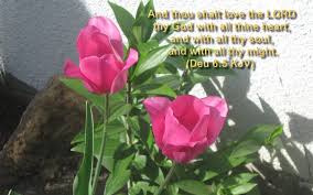 And if any man lie with her at all, and her flowers be upon him, he shall be unclean seven days; Spring Time Bible Quotes 21 Important Bible Verses About Flowers Awesome Scriptures Dogtrainingobedienceschool Com